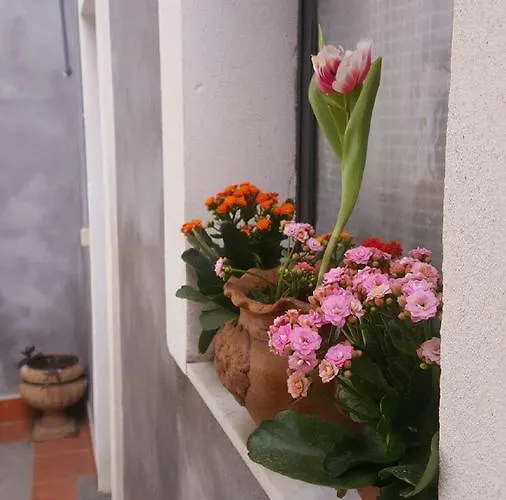 Nocleg ze śniadaniem I Cappuccini 4*